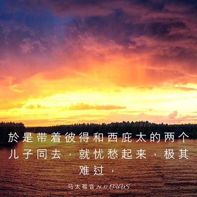 Picture 03 - 马 太 福 音 26:37 CUVS - 於 是 带 着 彼 得 和 西 庇 太 的 两 - Bible Verse Picture