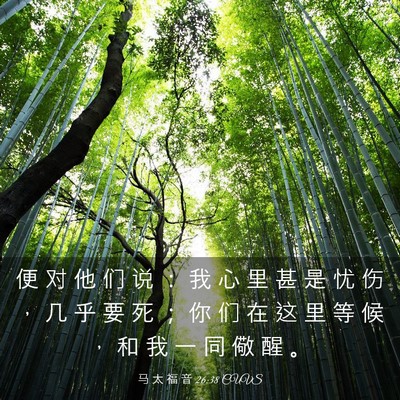 Picture 03 - 马 太 福 音 26:38 CUVS - 便 对 他 们 说 ： 我 心 里 甚 是 忧 - Bible Verse Picture