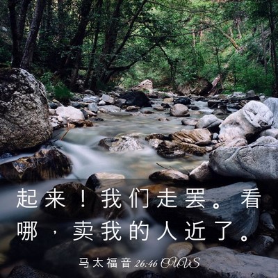 Picture 03 - 马 太 福 音 26:46 CUVS - 起 来 ！ 我 们 走 罢 。 看 哪 ， 卖 - Bible Verse Picture