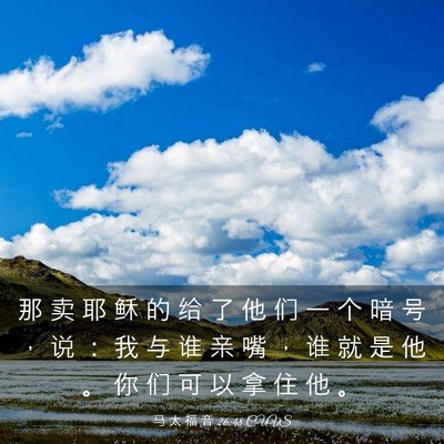 Picture 03 - 马 太 福 音 26:48 CUVS - 那 卖 耶 稣 的 给 了 他 们 一 个 暗 - Bible Verse Picture