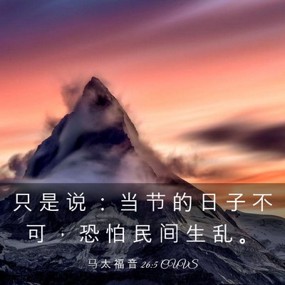 Picture 03 - 马 太 福 音 26:5 CUVS - 只 是 说 ： 当 节 的 日 子 不 可 ， - Bible Verse Picture