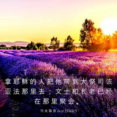 Picture 03 - 马 太 福 音 26:57 CUVS - 拿 耶 稣 的 人 把 他 带 到 大 祭 司 - Bible Verse Picture