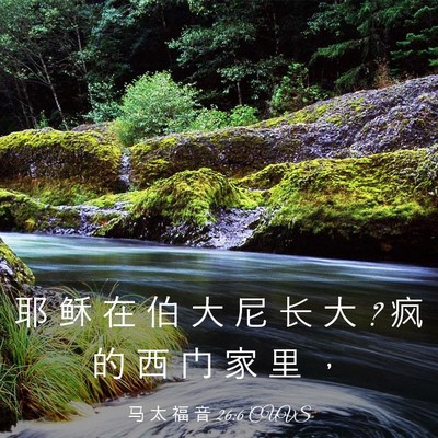 Picture 03 - 马 太 福 音 26:6 CUVS - 耶 稣 在 伯 大 尼 长 大 ? 疯 的 西 门 - Bible Verse Picture