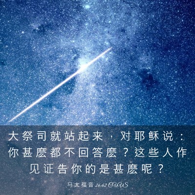 Picture 03 - 马 太 福 音 26:62 CUVS - 大 祭 司 就 站 起 来 ， 对 耶 稣 说 - Bible Verse Picture