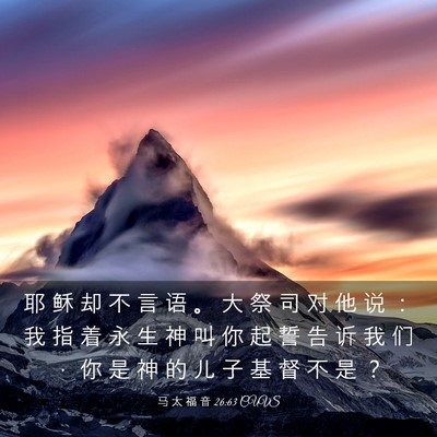 Picture 03 - 马 太 福 音 26:63 CUVS - 耶 稣 却 不 言 语 。 大 祭 司 对 他 - Bible Verse Picture
