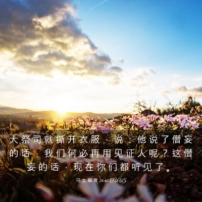 Picture 03 - 马 太 福 音 26:65 CUVS - 大 祭 司 就 撕 开 衣 服 ， 说 ： 他 - Bible Verse Picture