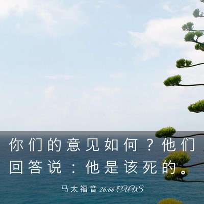 Picture 03 - 马 太 福 音 26:66 CUVS - 你 们 的 意 见 如 何 ？ 他 们 回 答 - Bible Verse Picture