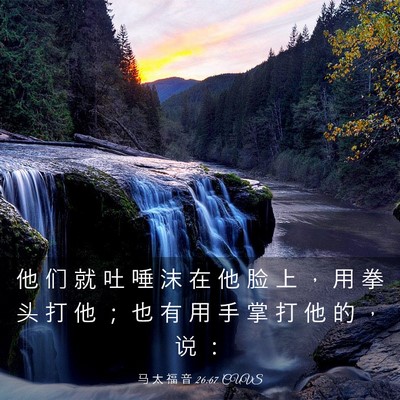 Picture 03 - 马 太 福 音 26:67 CUVS - 他 们 就 吐 唾 沫 在 他 脸 上 ， 用 - Bible Verse Picture