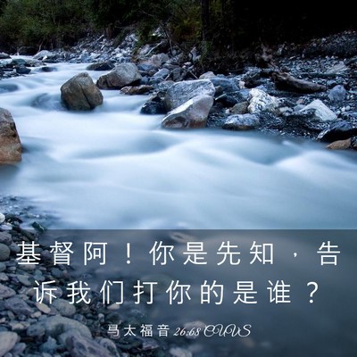 Picture 03 - 马 太 福 音 26:68 CUVS - 基 督 阿 ！ 你 是 先 知 ， 告 诉 我 - Bible Verse Picture