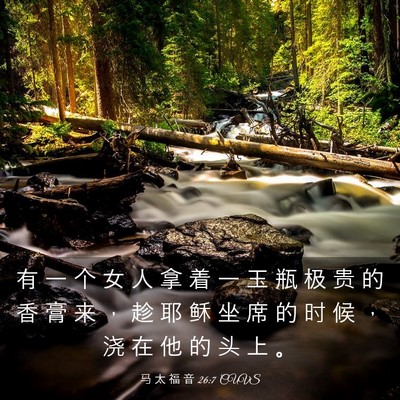 Picture 03 - 马 太 福 音 26:7 CUVS - 有 一 个 女 人 拿 着 一 玉 瓶 极 贵 - Bible Verse Picture