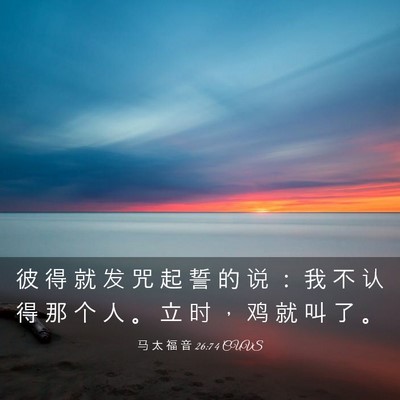Picture 03 - 马 太 福 音 26:74 CUVS - 彼 得 就 发 咒 起 誓 的 说 ： 我 不 - Bible Verse Picture