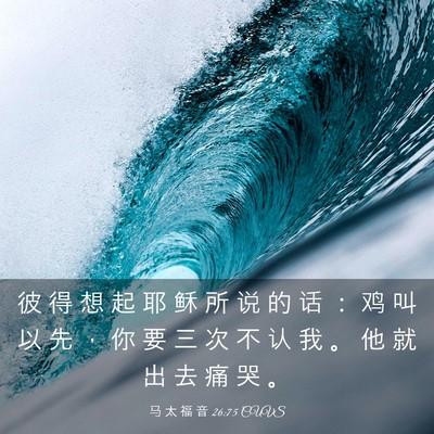 Picture 03 - 马 太 福 音 26:75 CUVS - 彼 得 想 起 耶 稣 所 说 的 话 ： 鸡 - Bible Verse Picture