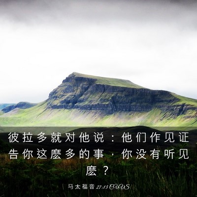 Picture 03 - 马 太 福 音 27:13 CUVS - 彼 拉 多 就 对 他 说 ： 他 们 作 见 - Bible Verse Picture