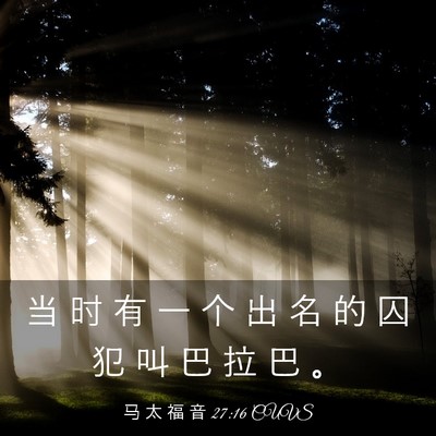 Picture 03 - 马 太 福 音 27:16 CUVS - 当 时 有 一 个 出 名 的 囚 犯 叫 巴 - Bible Verse Picture