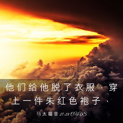 Picture 03 - 马 太 福 音 27:28 CUVS - 他 们 给 他 脱 了 衣 服 ， 穿 上 一 - Bible Verse Picture