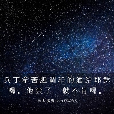Picture 03 - 马 太 福 音 27:34 CUVS - 兵 丁 拿 苦 胆 调 和 的 酒 给 耶 稣 - Bible Verse Picture