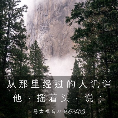 Picture 03 - 马 太 福 音 27:39 CUVS - 从 那 里 经 过 的 人 讥 诮 他 ， 摇 - Bible Verse Picture