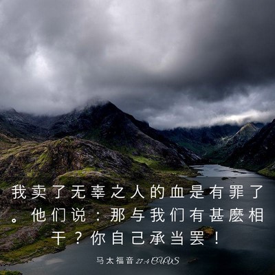 Picture 03 - 马 太 福 音 27:4 CUVS - 我 卖 了 无 辜 之 人 的 血 是 有 罪 - Bible Verse Picture