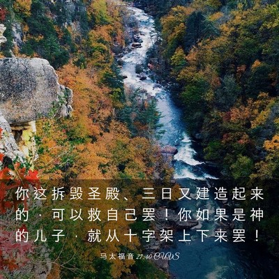 Picture 03 - 马 太 福 音 27:40 CUVS - 你 这 拆 毁 圣 殿 、 三 日 又 建 造 - Bible Verse Picture