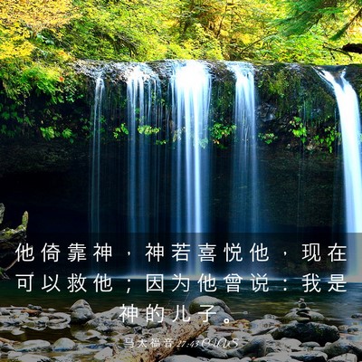 Picture 03 - 马 太 福 音 27:43 CUVS - 他 倚 靠 神 ， 神 若 喜 悦 他 ， 现 - Bible Verse Picture
