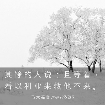 Picture 03 - 马 太 福 音 27:49 CUVS - 其 馀 的 人 说 ： 且 等 着 ， 看 以 - Bible Verse Picture