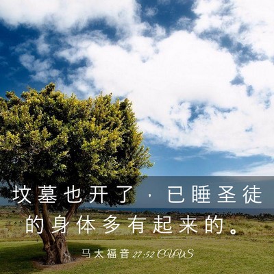 Picture 03 - 马 太 福 音 27:52 CUVS - 坟 墓 也 开 了 ， 已 睡 圣 徒 的 身 - Bible Verse Picture