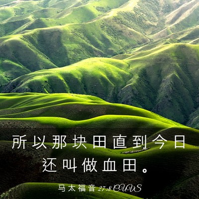 Picture 03 - 马 太 福 音 27:8 CUVS - 所 以 那 块 田 直 到 今 日 还 叫 做 - Bible Verse Picture