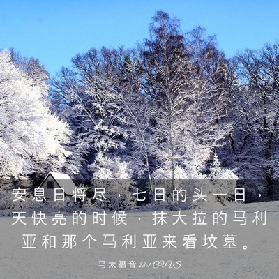 Picture 03 - 马 太 福 音 28:1 CUVS - 安 息 日 将 尽 ， 七 日 的 头 一 日 - Bible Verse Picture