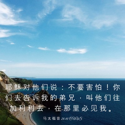 Picture 03 - 马 太 福 音 28:10 CUVS - 耶 稣 对 他 们 说 ： 不 要 害 怕 ！ - Bible Verse Picture