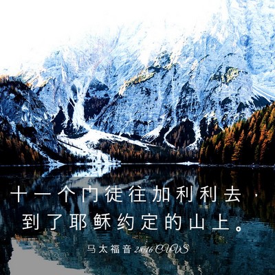 Picture 03 - 马 太 福 音 28:16 CUVS - 十 一 个 门 徒 往 加 利 利 去 ， 到 - Bible Verse Picture