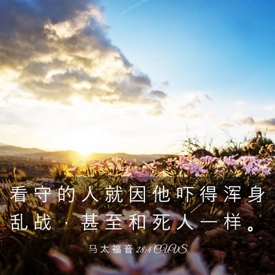 Picture 03 - 马 太 福 音 28:4 CUVS - 看 守 的 人 就 因 他 吓 得 浑 身 乱 - Bible Verse Picture