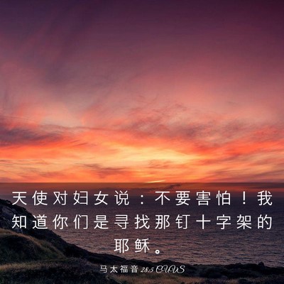Picture 03 - 马 太 福 音 28:5 CUVS - 天 使 对 妇 女 说 ： 不 要 害 怕 ！ - Bible Verse Picture