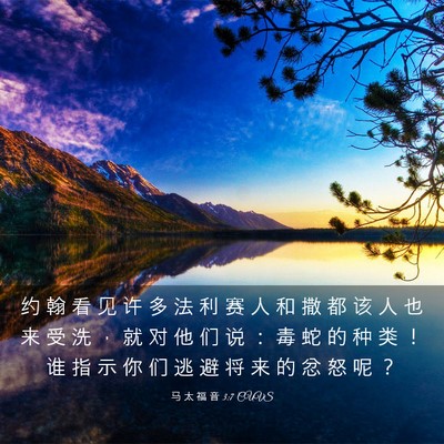 Picture 03 - 马 太 福 音 3:7 CUVS - 约 翰 看 见 许 多 法 利 赛 人 和 撒 - Bible Verse Picture