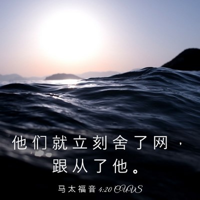Picture 03 - 马 太 福 音 4:20 CUVS - 他 们 就 立 刻 舍 了 网 ， 跟 从 了 - Bible Verse Picture