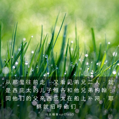 Picture 03 - 马 太 福 音 4:21 CUVS - 从 那 里 往 前 走 ， 又 看 见 弟 兄 - Bible Verse Picture