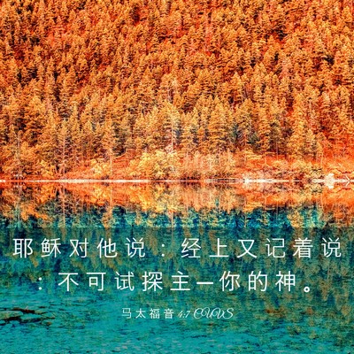 Picture 03 - 马 太 福 音 4:7 CUVS - 耶 稣 对 他 说 ： 经 上 又 记 着 说 - Bible Verse Picture