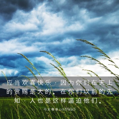 Picture 03 - 马 太 福 音 5:12 CUVS - 应 当 欢 喜 快 乐 ， 因 为 你 们 在 - Bible Verse Picture
