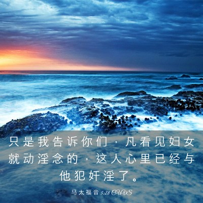 Picture 03 - 马 太 福 音 5:28 CUVS - 只 是 我 告 诉 你 们 ， 凡 看 见 妇 - Bible Verse Picture