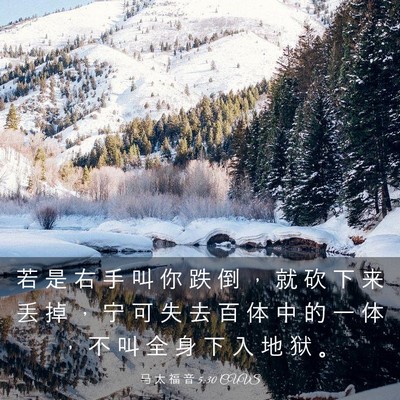 Picture 03 - 马 太 福 音 5:30 CUVS - 若 是 右 手 叫 你 跌 倒 ， 就 砍 下 - Bible Verse Picture
