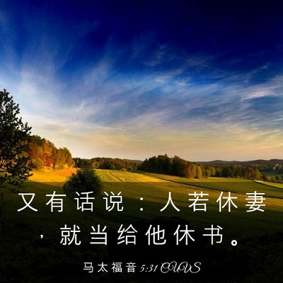 Picture 03 - 马 太 福 音 5:31 CUVS - 又 有 话 说 ： 人 若 休 妻 ， 就 当 - Bible Verse Picture