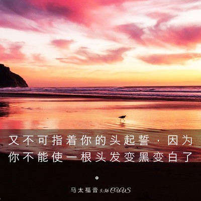 Picture 03 - 马 太 福 音 5:36 CUVS - 又 不 可 指 着 你 的 头 起 誓 ， 因 - Bible Verse Picture