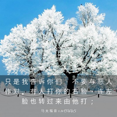 Picture 03 - 马 太 福 音 5:39 CUVS - 只 是 我 告 诉 你 们 ， 不 要 与 恶 - Bible Verse Picture