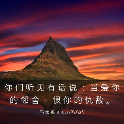 Picture 03 - 马 太 福 音 5:43 CUVS - 你 们 听 见 有 话 说 ： 当 爱 你 的 - Bible Verse Picture
