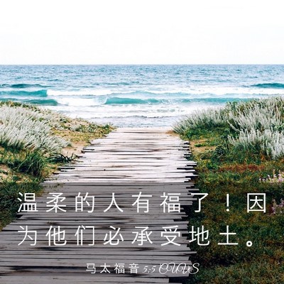 Picture 03 - 马 太 福 音 5:5 CUVS - 温 柔 的 人 有 福 了 ！ 因 为 他 们 - Bible Verse Picture