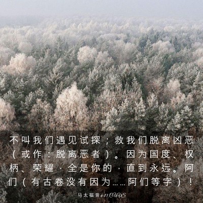 Picture 03 - 马 太 福 音 6:13 CUVS - 不 叫 我 们 遇 见 试 探 ； 救 我 们 - Bible Verse Picture