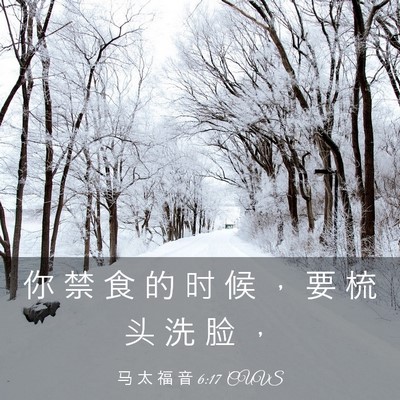 Picture 03 - 马 太 福 音 6:17 CUVS - 你 禁 食 的 时 候 ， 要 梳 头 洗 脸 - Bible Verse Picture