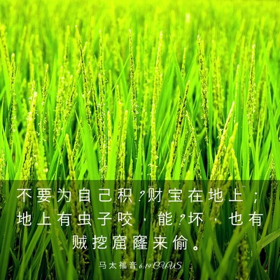 Picture 03 - 马 太 福 音 6:19 CUVS - 不 要 为 自 己 积 ? 财 宝 在 地 上 ； - Bible Verse Picture