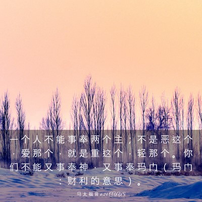 Picture 03 - 马 太 福 音 6:24 CUVS - 一 个 人 不 能 事 奉 两 个 主 ； 不 - Bible Verse Picture