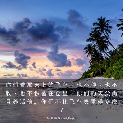 Picture 03 - 马 太 福 音 6:26 CUVS - 你 们 看 那 天 上 的 飞 鸟 ， 也 不 - Bible Verse Picture