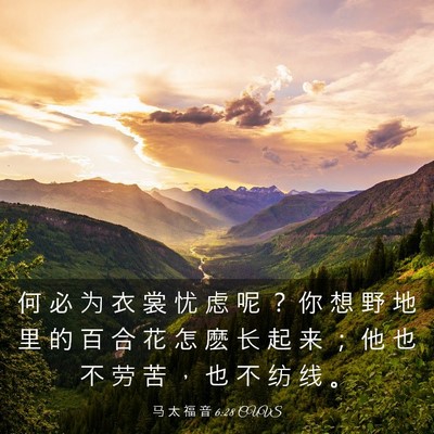 Picture 03 - 马 太 福 音 6:28 CUVS - 何 必 为 衣 裳 忧 虑 呢 ？ 你 想 野 - Bible Verse Picture